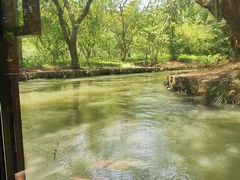 -同里国家湿地公园