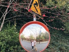 -杭州半山国家森林公园