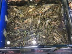 -海味当家·蒸锅海鲜(中山广场创始店)