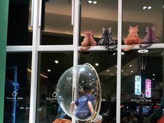 -飞行喵MR PILOT|猫舍·猫咖(静安大融城店)