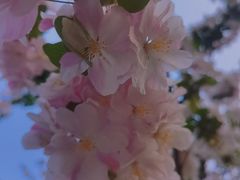 -海棠花溪(元大都城垣遗址公园)