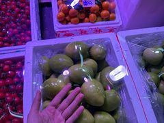 -深圳市海吉星国际农产品物流管理有限公司