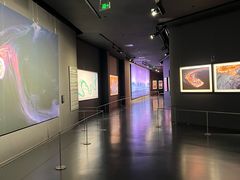 -罗红摄影艺术馆