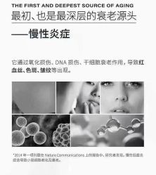 点击看大图 -玛莲朵·海菲秀冰珀科