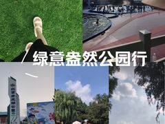 -青龙湖公园