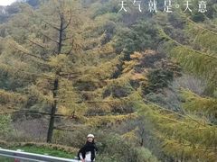 -秦岭风景区