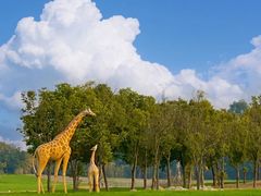 -三圣花乡旅游区