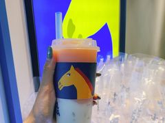 桃桃卡士-春丽小马(济南恒隆广场店)