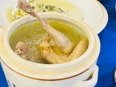 花旗参炖白鸽-霞海鸭仔饭店(海滨大道北店)