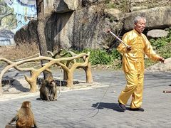 -洛阳花果山景区