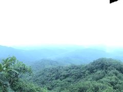 -天女山森林公园