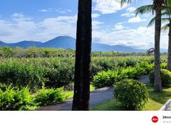 -亚龙湾国际玫瑰谷