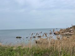 -养马岛旅游度假区
