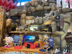 -卡通尼·Safari非洲探索乐园·生日会(金桥国际商业广场店)