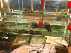 -御膳粥·牛乳粥底火锅·地道顺德菜(容桂店)