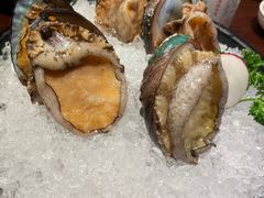 -东海怡品海鲜豆捞(舟宿夜江店)