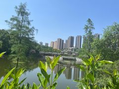 -重庆彩云湖湿地公园