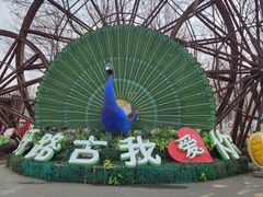 -呀路古热带植物园
