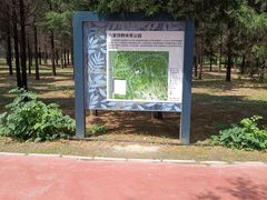 -东升八家郊野公园