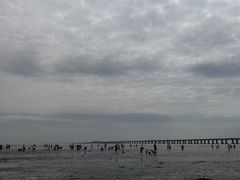 -南汇嘴观海公园