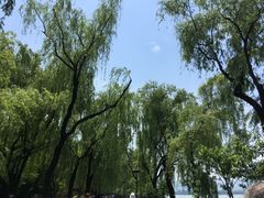 -闻莺馆(柳浪闻莺店)