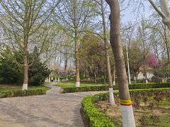 -石家庄市植物园