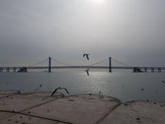 -星海湾跨海大桥