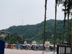 -重庆海昌加勒比海水世界
