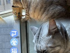 -H立方实景剧情密室(天河旗舰店)