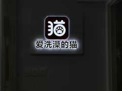 -爱洗澡的猫(天河路店)