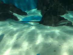 -苏州海洋馆