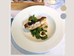 -蝶舍·MAISON PAPILLON