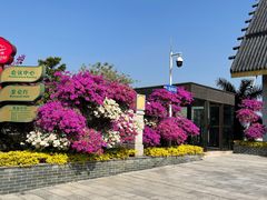 -广州莲花山旅游区