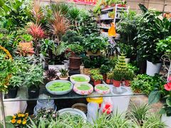 -秦美花卉(天朗·莱茵小城2期店)