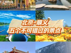 -北京国际鲜花港