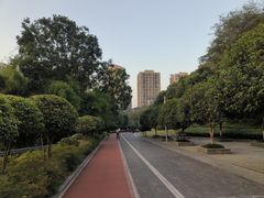 -龙头寺公园