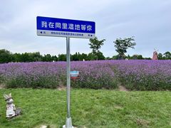 -同里国家湿地公园
