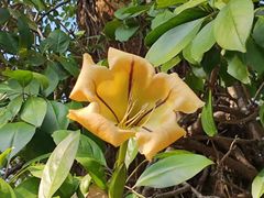 -桃花涧