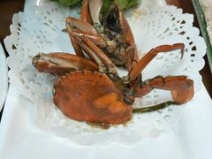 -友强·23年特色海鲜大排档(厦门店)