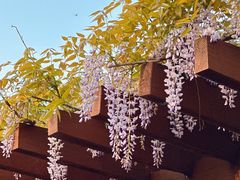 -梁鸿国家湿地公园