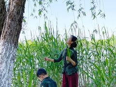 -九里河湿地公园