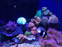 -成都浩海立方海洋公园