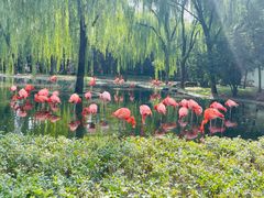 -石家庄市动物园