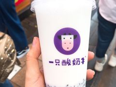 -一只酸奶牛(八一路店)