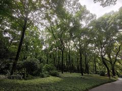 -忠山公园