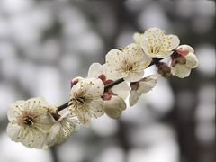 -宝岩生态观光园