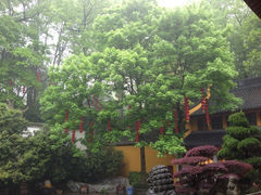 iphone_upload_pic-杭州上天竺法喜讲寺