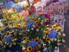 -花鸟鱼虫鲜花绿植市场(玉泉路店)