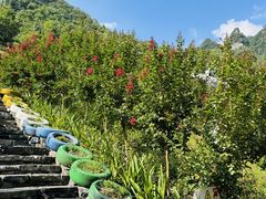 -清江方山景区