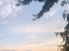 -湖景渔湾